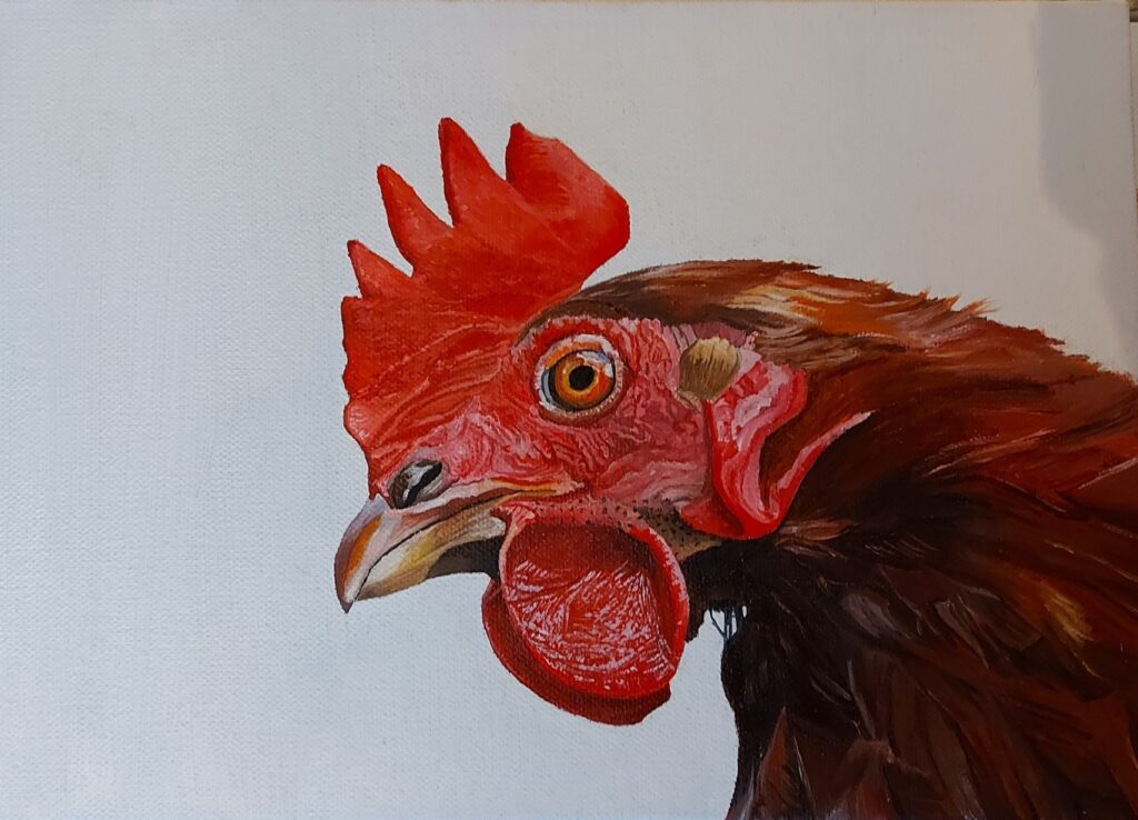 The Farm Yard Series